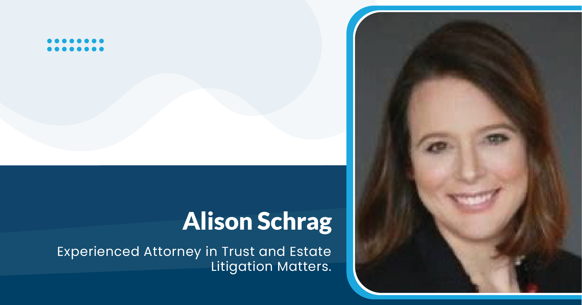 Alison Schrag: Business Succession and Wealth Preservation Lawyer