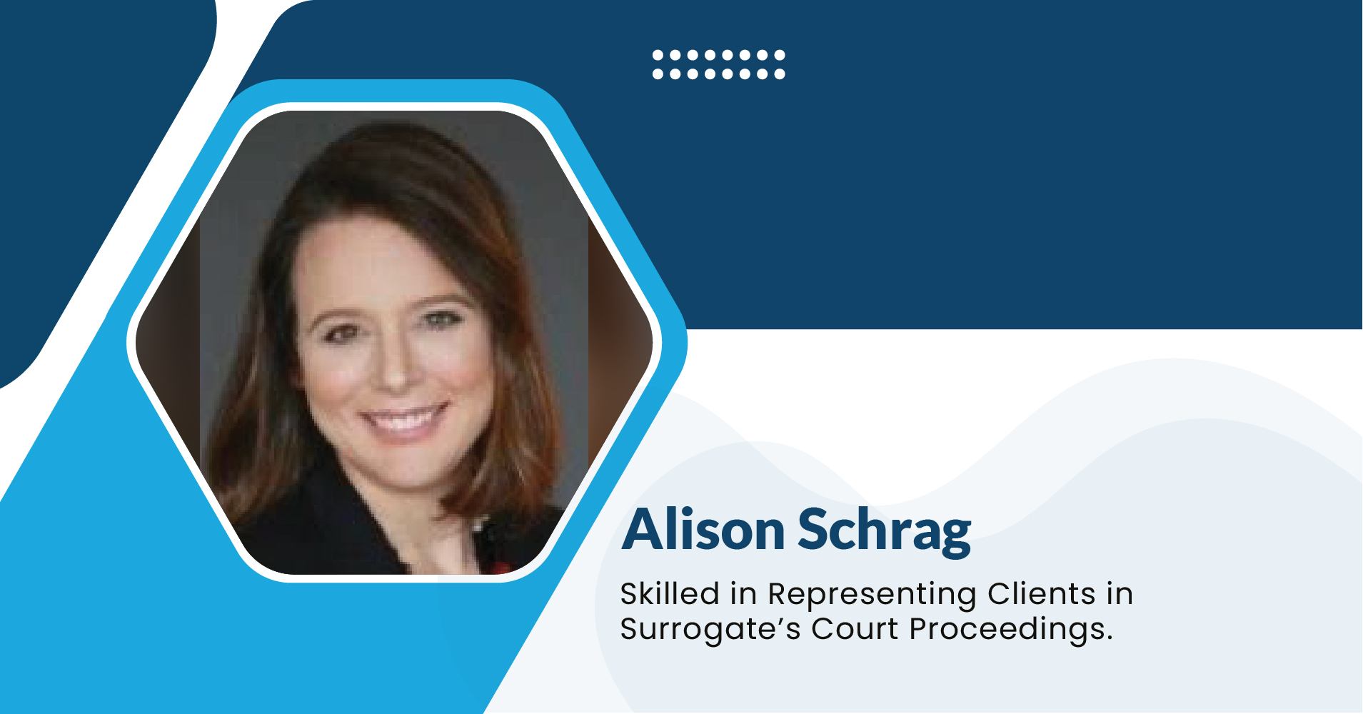 Alison Schrag: Experienced Trust and Estate Litigation Attorney