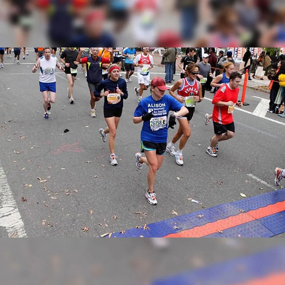 Alison Schrag: New York Estate Law Specialist